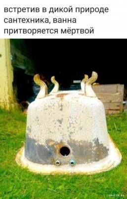 Прикрепленное изображение: 451546163_26143333548644637_8476053765813088481_n.jpg